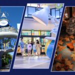 Vacation Guide to the Hotels of the Disneyland Resort